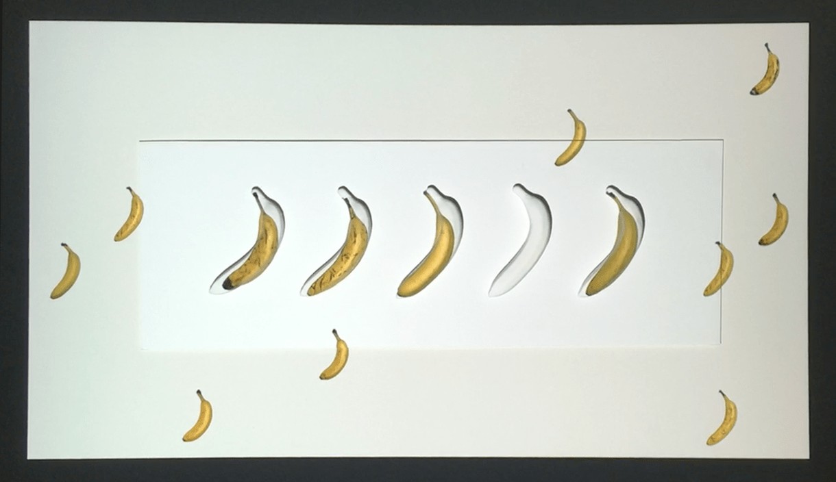 The projection of the time-lapse of bananas on the plastic bananas on the wall.